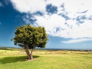 photo-1469827160215-9d29e96e72f4