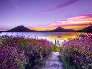 photo-1532274402911-5a369e4c4bb5